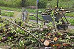 Holzangebot f&uuml;r  die Gartenfreunde